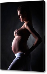   Постер Молодая беременность