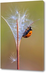  The wasp is sitting on green leaves. The dangerous yellow-and-black striped common Wasp sits on leaves	