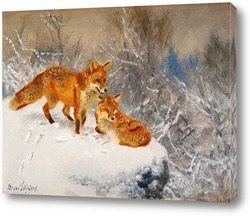   Постер Две лисы в зимний пейзаж