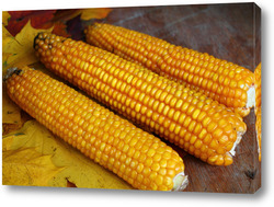   Постер золотая  кукуруза