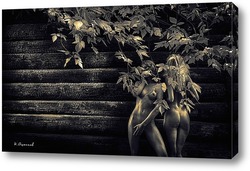    Две девушки на фоне бревенчатой стены в листве