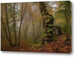  Чародейский лес
