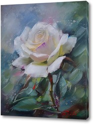  Картина Белая роза