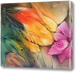   Постер бабочки