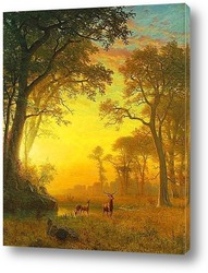   Картина Лучи в лесу