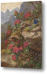   Картина Альпийские цветы