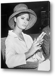   Постер Sophia Loren-13
