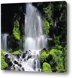  Водопады и леса 54106