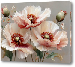    Розовые маки