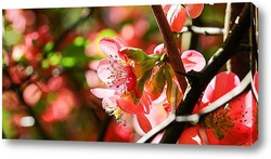   Постер Весеннее цветение