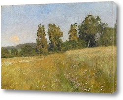  Золотая Осень, 1895