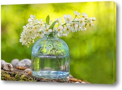  Цветок шиповника с каплями росы