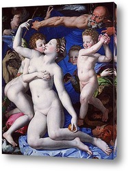   Постер Bronzino