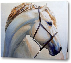    Портрет лошади