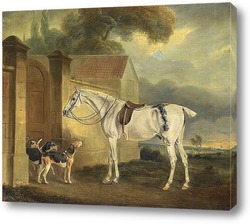   Картина Лошадь и гончие