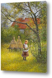  Березы и дома