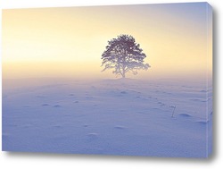   Постер Горячий зимний туман