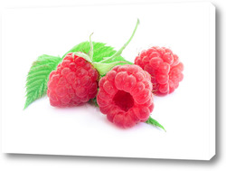  Gooseberries on a white background