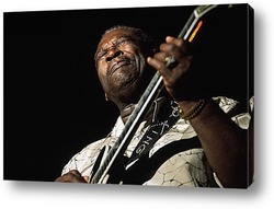   Постер B.B.King