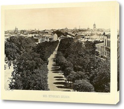    Петровский бульвар,1888