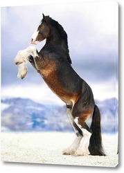   Постер Величие лошади