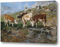   Картина Молодняккрупного рогатого скота в Триоле
