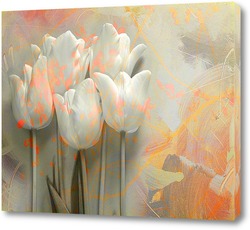   Постер Белые тюльпаны