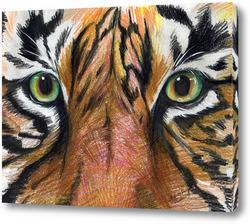    Глаза тигра