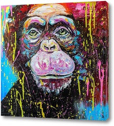   Постер Шимпанзе