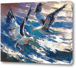   Картина Чайки над волнами.