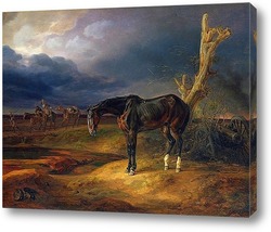   Постер Брошенная лошадь на поле боя в Можайске
