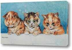  Пять кошек