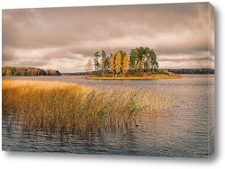   Постер Осень в парке Монрепо.