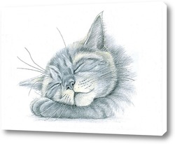   Постер Спящий котишка