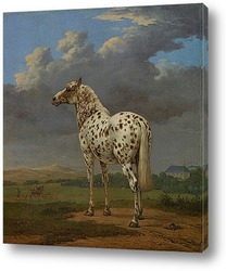   Картина Пегая Лошадь