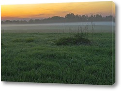  Дерево в парке Царицыно