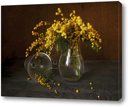   Постер Мимоза