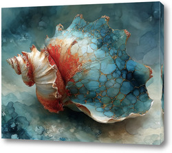    Раковина в океане