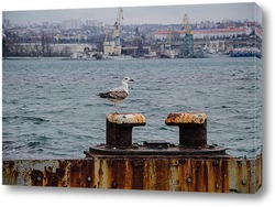  Пасмурное утро над Балаклавской бухтой