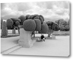   Постер IMG_3015bw