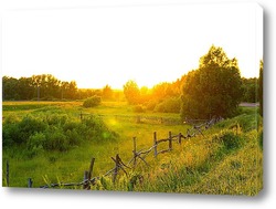  Field and forest at sunset. Tree silhouettes close-up. Evening fog, twilight sky, moonlight. Dark spring landscape. Pastoral rural scene. Nature, seasons, ecology, weather. Panoramic view, copy space