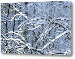   Постер Ветви дерева в первом снегу