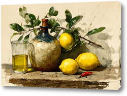  Экзотические тропики