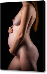   Постер Беременность 