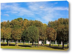    Осень