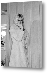    Brigitte Bardot-15
