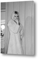  Brigitte Bardot-04