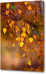   Постер Осень