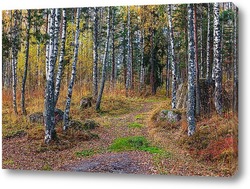    Карельский пейзаж