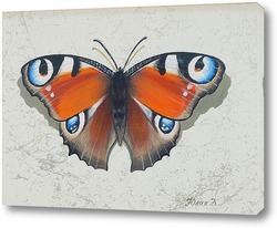   Постер Бабочка